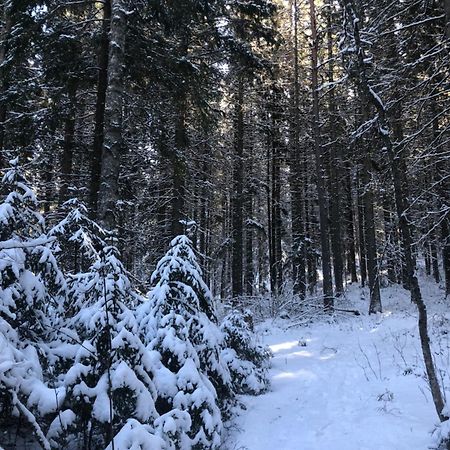 Kungsbergetnatur Järbo Exteriér fotografie
