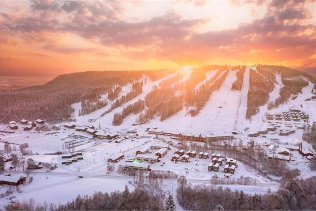 Kungsbergetnatur Järbo Exteriér fotografie